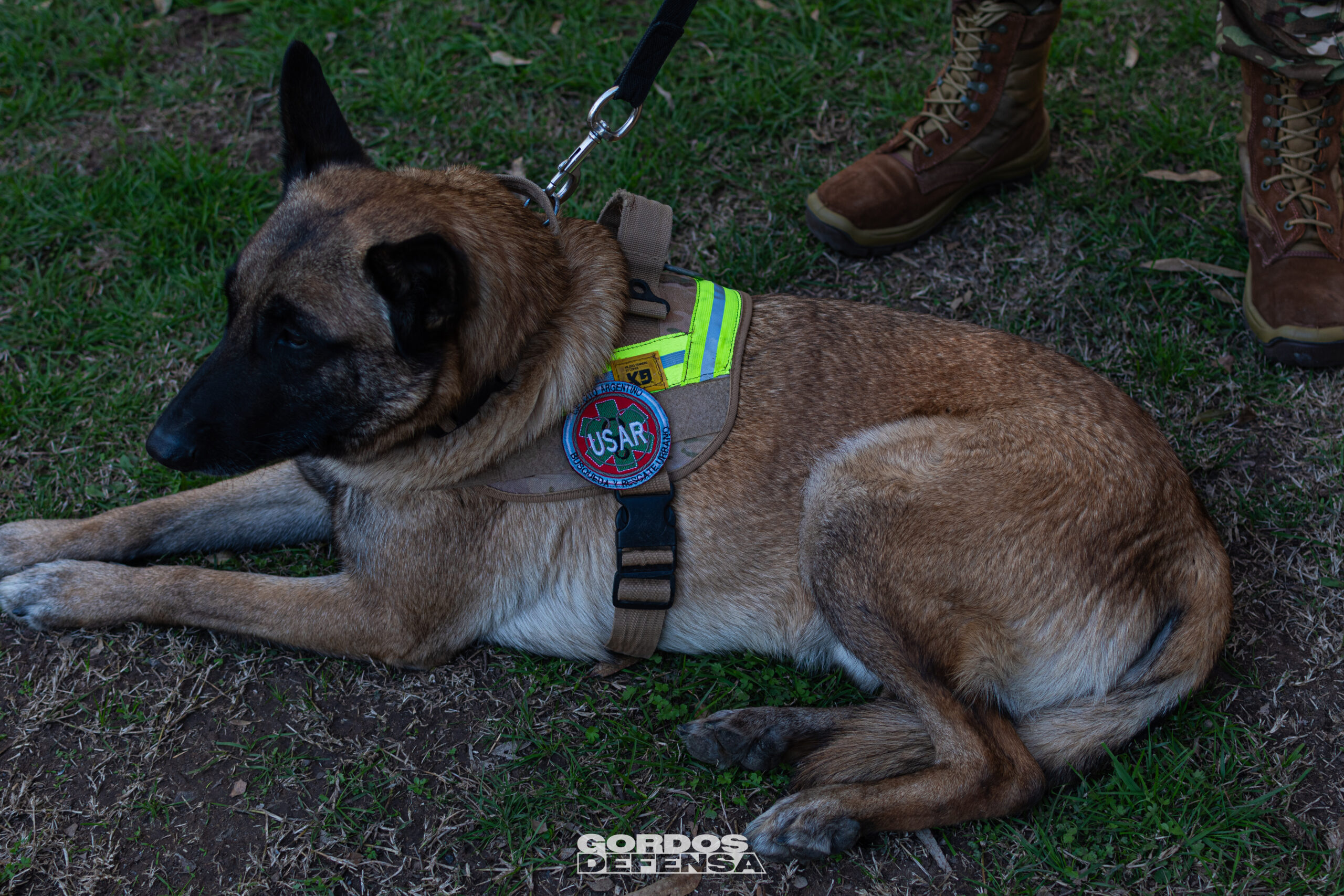 Binomio K9 del Ejército Argentino con parche USAR de búsqueda y rescate urbano