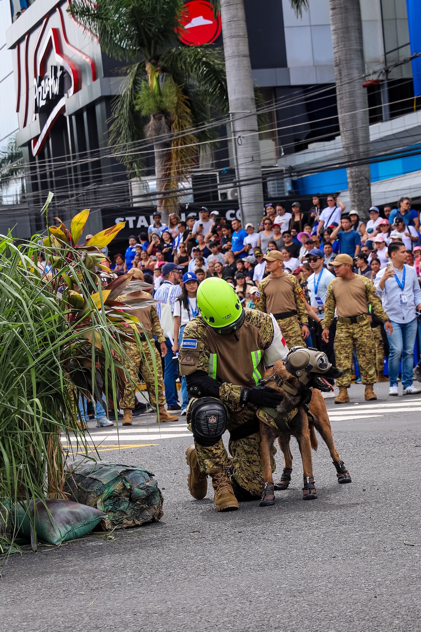 Guía canino de la Fuerza Armada de El Salvador con un perro equipado con gafas y botas protectoras en San Salvador